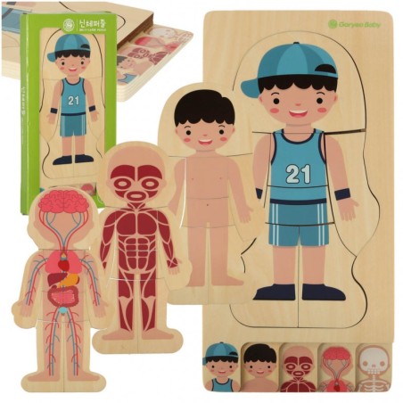 Montessori keha ehitus pusle õppemäng