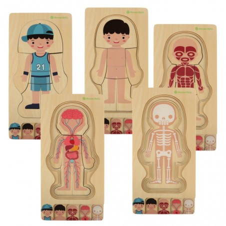 Montessori keha ehitus pusle õppemäng