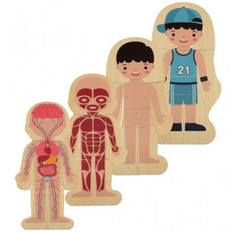 Montessori keha ehitus pusle õppemäng