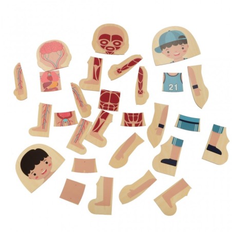 Montessori keha ehitus pusle õppemäng