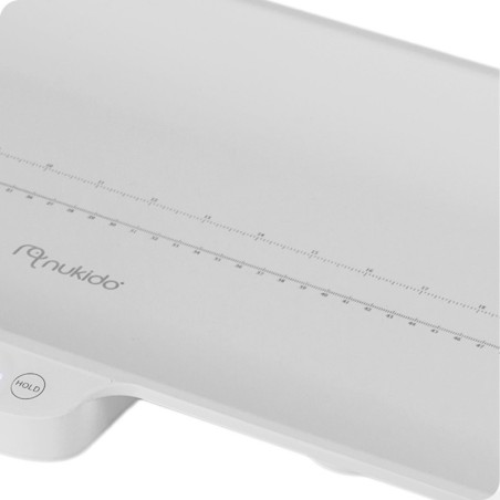 Elektrooniline beebikaal