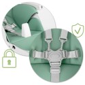 Söögitool lauaga, lamamistool, belo green