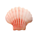 Mascot Plush Shell Pillow 50 x 40 cm