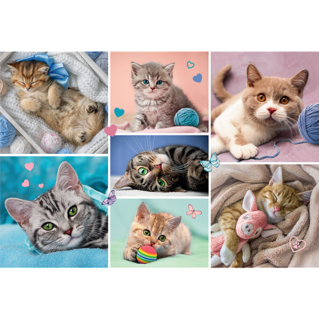 Pusle – 100 – Kassimaailmas – Trefl 16420