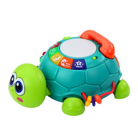 Interaktiivne hariv kilpkonn telefon 6in1