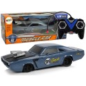 Auto R/C spordikleebis 1:20 hall piloot