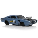 Auto R/C spordikleebis 1:20 hall piloot