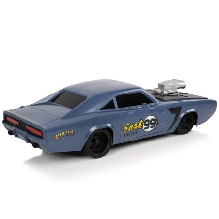Auto R/C spordikleebis 1:20 hall piloot