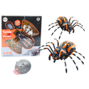 Kaugjuhitavad Spider RC infrapuna-auruvalgustid