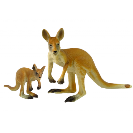 Känguru kujuke pojaga Animals of the World