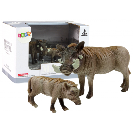 Aafrika tüügassiga pojaga