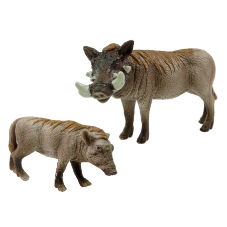 Aafrika tüügassiga pojaga