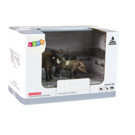 Aafrika tüügassiga pojaga