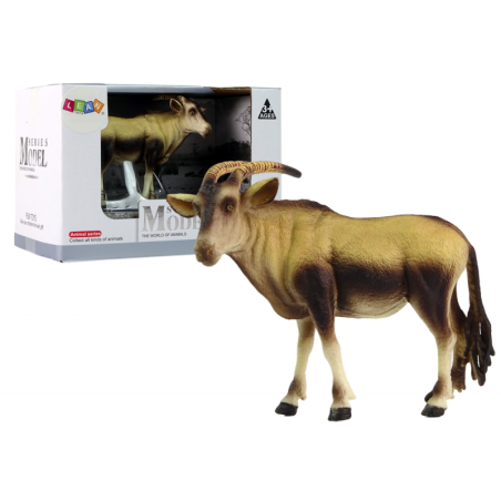 Antiloop kujuke Aafrika loomaaia loomad