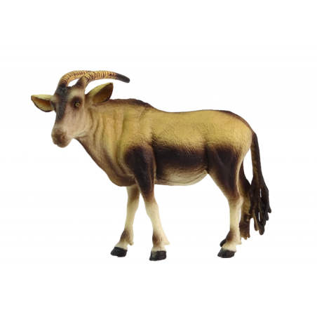 Antiloop kujuke Aafrika loomaaia loomad