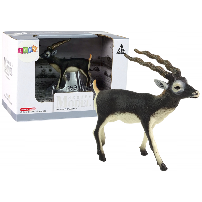 Blackbucki antiloop kujuke