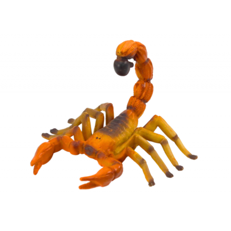 Kujukesed kõrbeskorpion Maailma loomad 8 cm