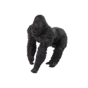 Gorilla kujuke
