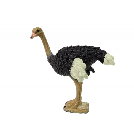 Kollektsionääri kujuke Sari Ostrich Animals of the World