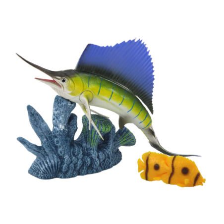 Kujukeste kala mõõkkala mõõkkala korallriffi kala