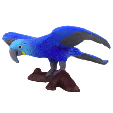 Kujukesed sinise ara papagoi maailma loomad