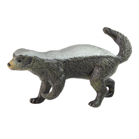 Kujuke loomad Aafrika