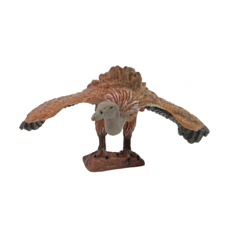 Maailmasarja suured koguja kujukesed raisakotkad