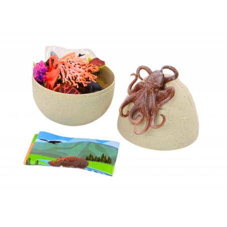 Muna mereloomade kujukestega Taimed kaheksajalg 26 El