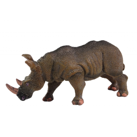 Suured koguja kujukesed ninasarvikud Maailma loomad