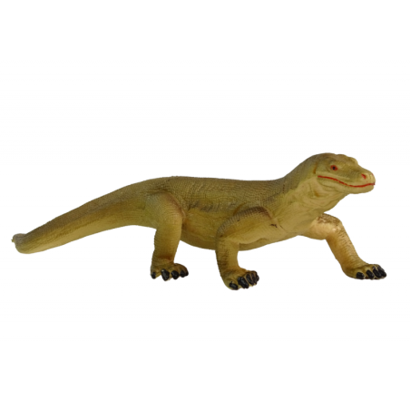 Varanus Komodo koguja kujukeste loomadest