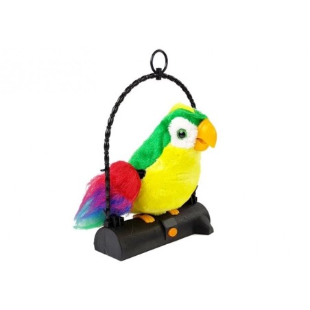 Papagoi - kordab sõnu