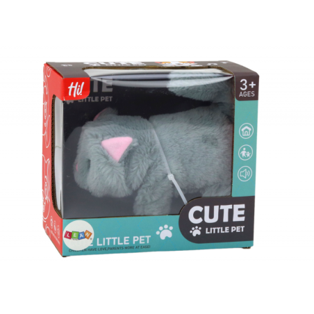 Plush interaktiivne kassipoeg kõnnib ja mjäub hall