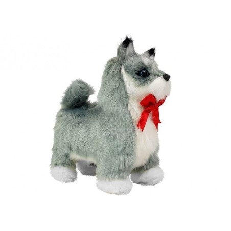 Interaktiivne husky koer liigub, haugub