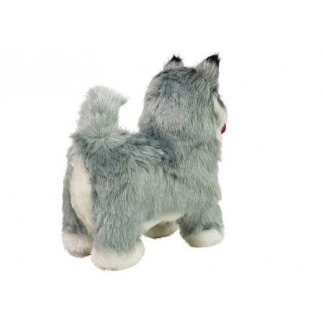 Interaktiivne husky koer liigub, haugub