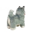 Interaktiivne husky koer liigub, haugub