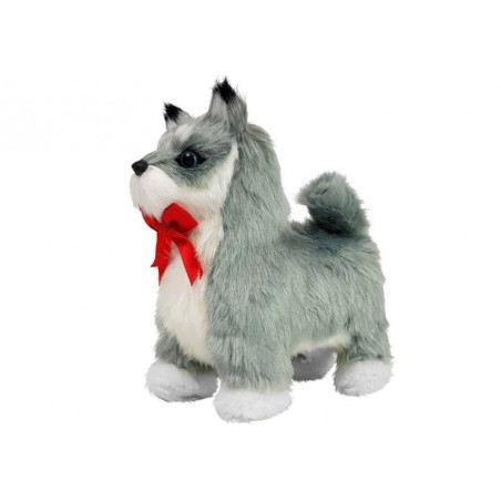 Interaktiivne husky koer liigub, haugub
