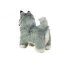 Interaktiivne husky koer liigub, haugub
