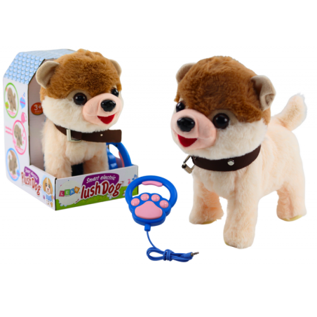 Interaktiivne jalutusrihmaga koer jalutab tantsib ja laulab valget ja beeži värvi