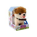 Interaktiivne jalutusrihmaga koer jalutab tantsib ja laulab valget ja beeži värvi