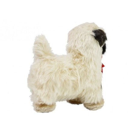 Interaktiivne koer mops liigub, haugub