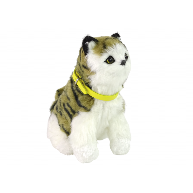 Interaktiivne Plush Kitty Pehme kass