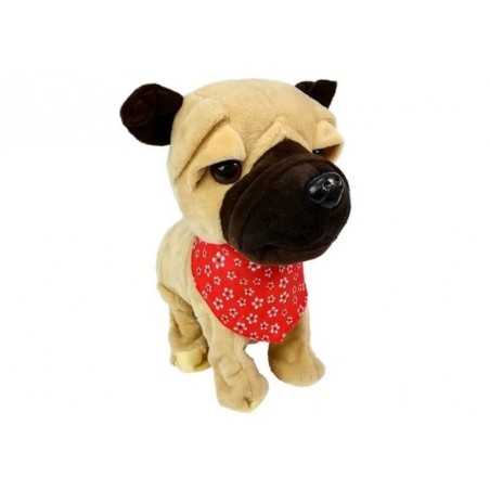 Interaktiivne jalutusrihmaga koer haugub liputab saba