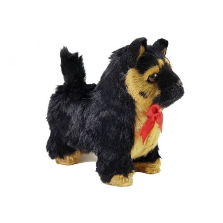 Interaktiivne saksa lambakoer liigub, haugub