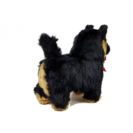 Interaktiivne saksa lambakoer liigub, haugub