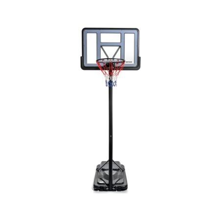 Korvpallikorv Chicago 21a