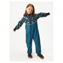 Softshell kombinesoon, Cobalt, Dinosaurused