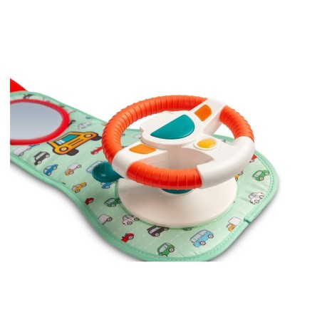 HARIV MÄNGUASI - ROOLIGA RIPATS