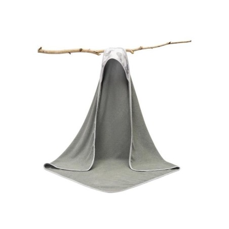 Kapuutsiga vannilina – hall