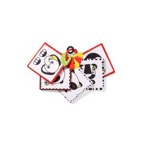 Beebi sensoorsed õppekaardid