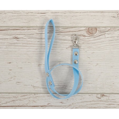 Hobihobuse ohelik päitsetele, helesinine